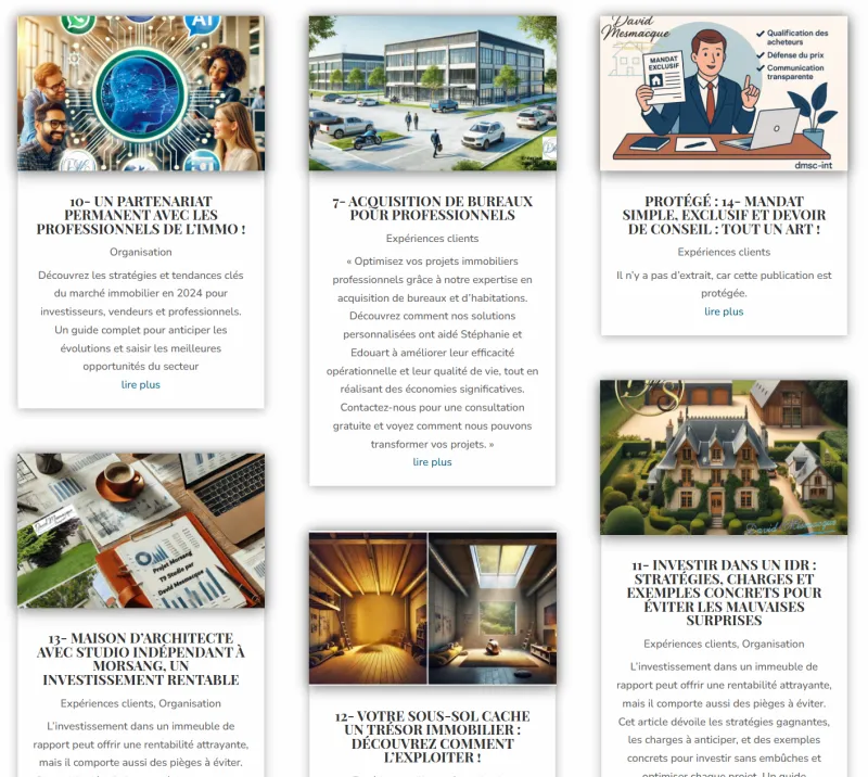 Aperçu visuel du blog immobilier de David Mesmacque — DMSC-INT